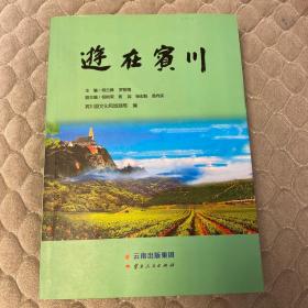 游在宾川