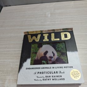 英文原版 光與影視覺書系列