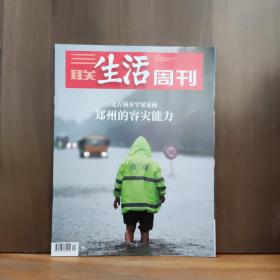 三联生活周刊 2021年第31期 郑州的容灾能力
