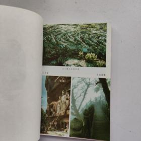 山水审美:人与自然的交响曲