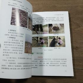 《渭北花椒周年管理技术》,内容丰富,图文并茂,品相好!