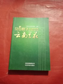 花中君子 : 云南兰花