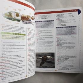 英文原版儿童字典英语教辅书 Scholastic Children's Dictionary 儿童百科  [平装]厚本 NEWLY UPDATED