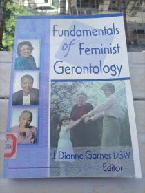 fundamentals of feminist gerontology 长几