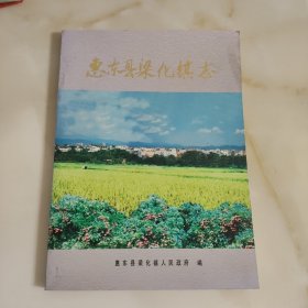 惠东县梁化镇志