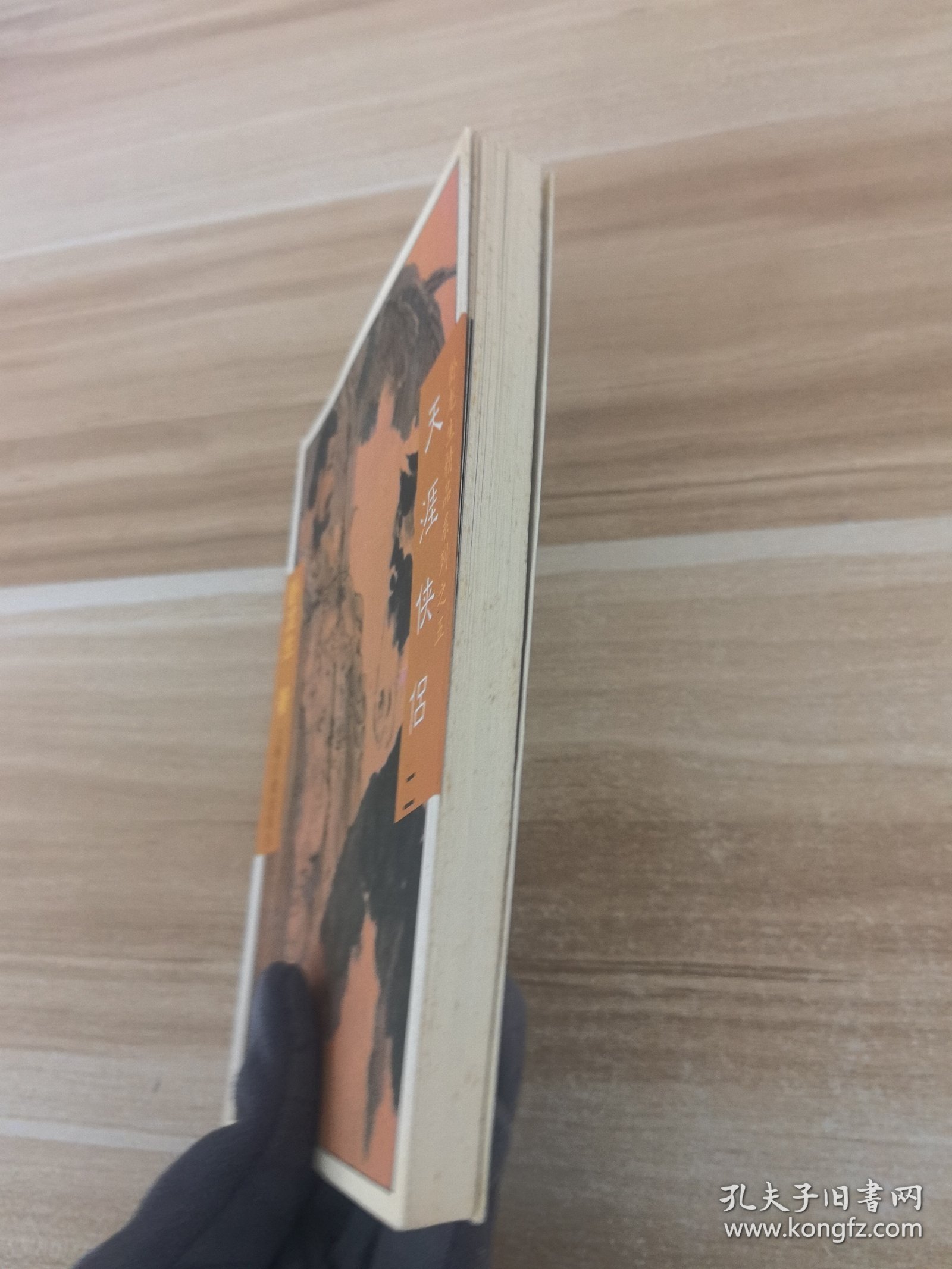 天涯侠侣（二）