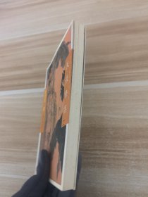 天涯侠侣（二）