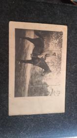1916年法国骑马军官明信片