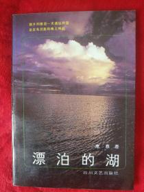 漂泊的湖-62号