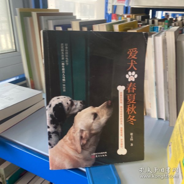 爱犬的春夏秋冬