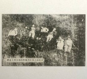 民国邮政明信片：黄花岗之役壮烈牺牲的部分烈士遗体（上海商务印书馆发行）