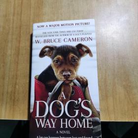 A Dog's Way Home 一条狗的回家路