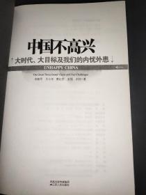 中国不高兴：大时代大目标及我们的内忧外患