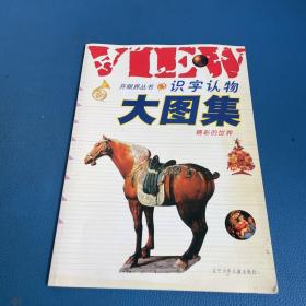 识字认物大图集 精彩的世界