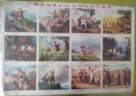 广阔天地炼红心 扎根农村干革命
