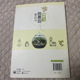 苔藓微景观魔法书【魔法DIY打造苔藓微景观，让您成就感爆棚】