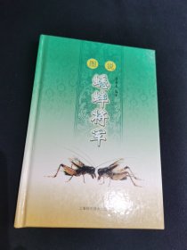 蟋蟀将军