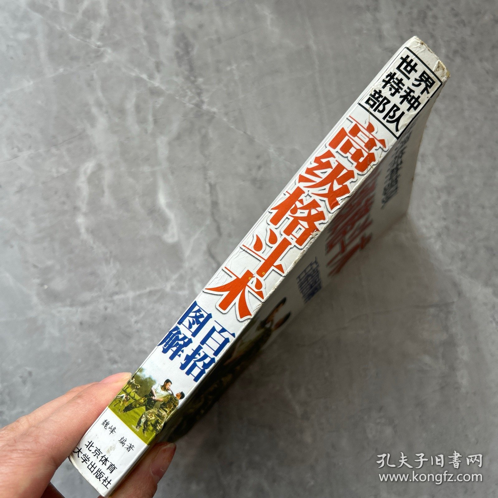 世界特种部队高级格斗术与功力训练