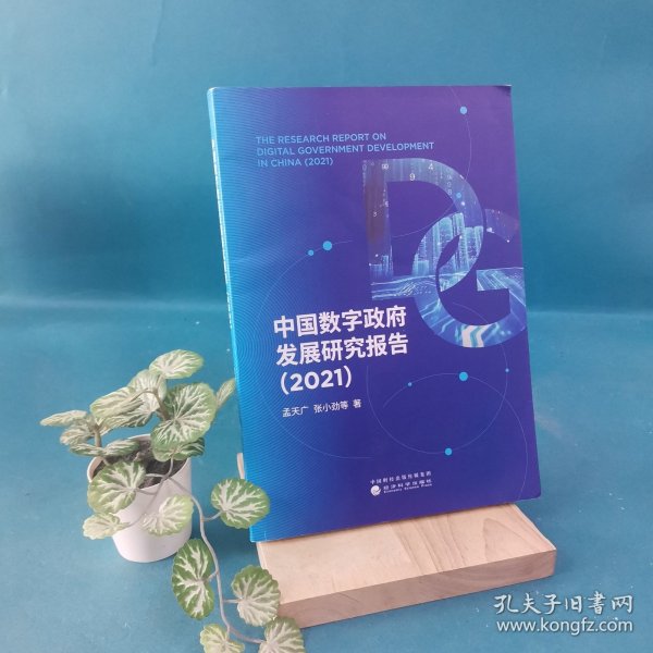 中国数字政府发展研究报告（2021）