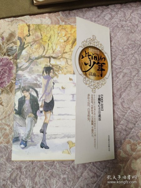 此间的少年：十周年纪念版