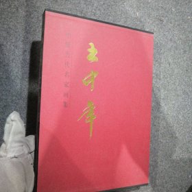 中国当代名家画集：王中年