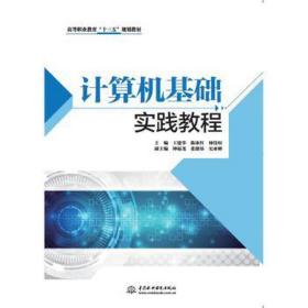 计算机基础实践教程 大中专理科计算机 王建华，陈冰红，林伟烜主编 新华正版