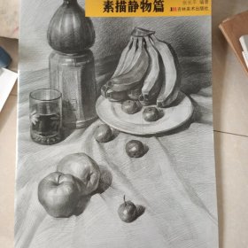 3小时实战应试范例（素描头像篇）