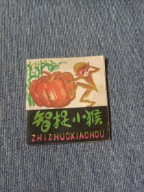 连环画：智捉小猴