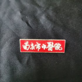 南京市中医院 徽章（稀见）