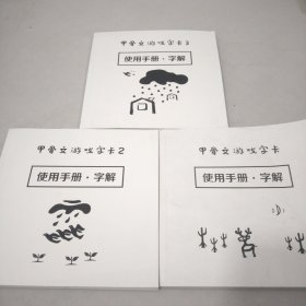 小象汉字甲骨文游戏字卡 3册合集
