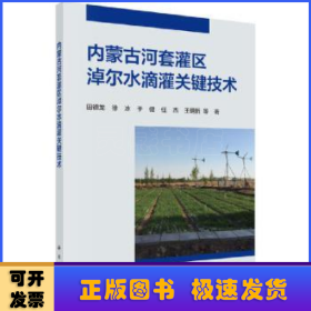 内蒙古河套灌区淖尔水滴灌关键技术