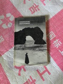 黑白摄影（伦敦皇家艺术学院摄影专业经典教程）