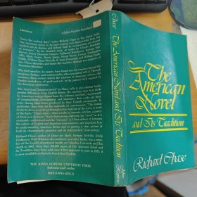 The american novel and its tradition