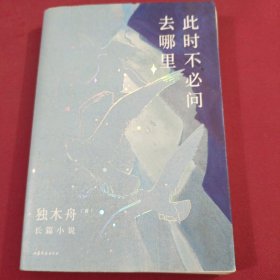 此时不必问去哪里（80后文学领军作家独木舟暌违五年，2020长篇力作）