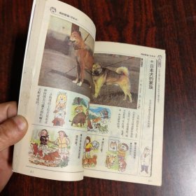 学研漫画 奥秘丛书 新订版 狗的奥秘