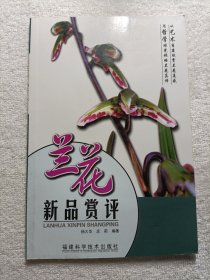 兰花新品赏评