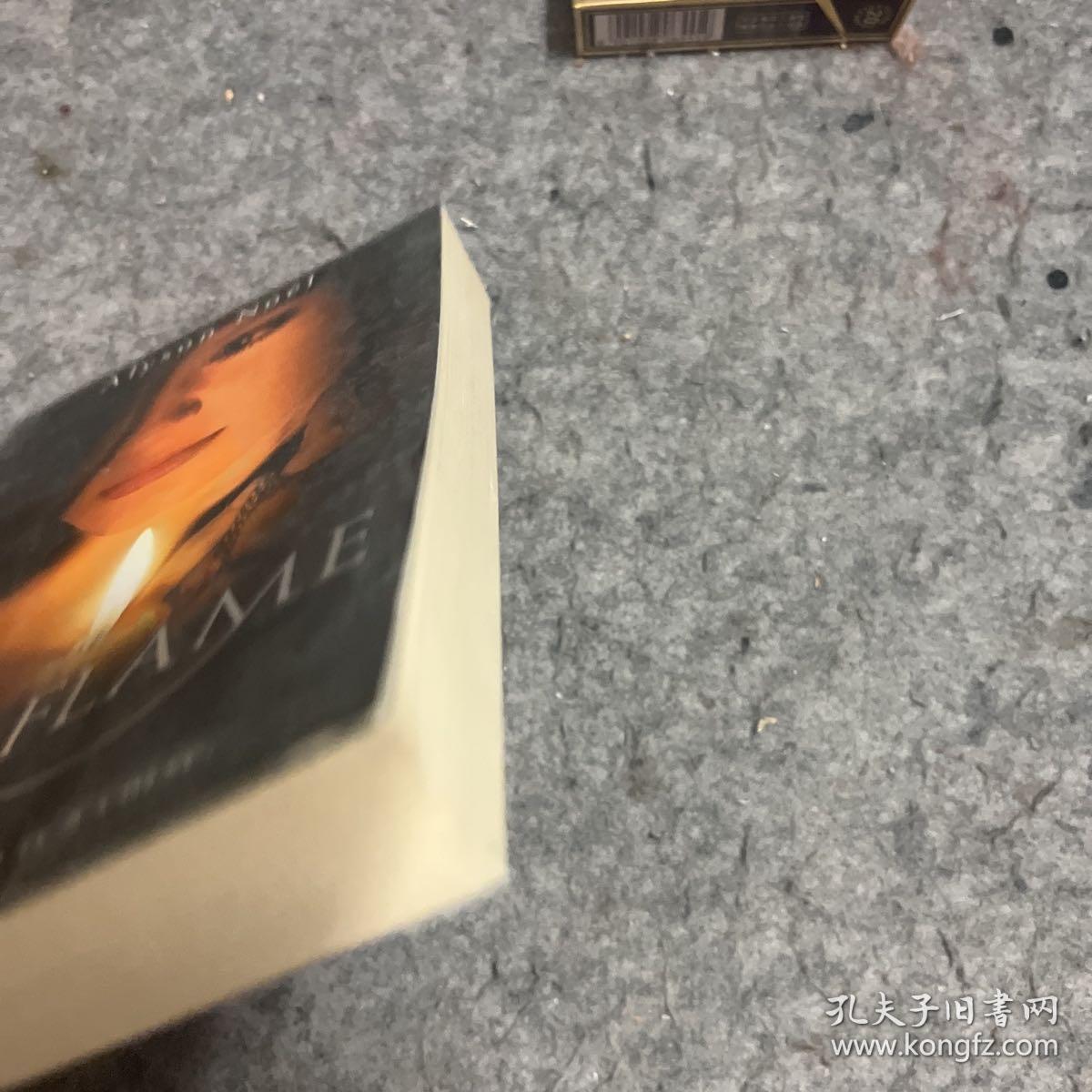 DARK FLAME ALYSON NOEL