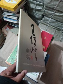 王传峰画集 8开精装