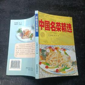 中国名菜精选 王伟刚 新疆美术出版社