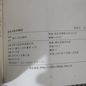 聚焦中部话崛起