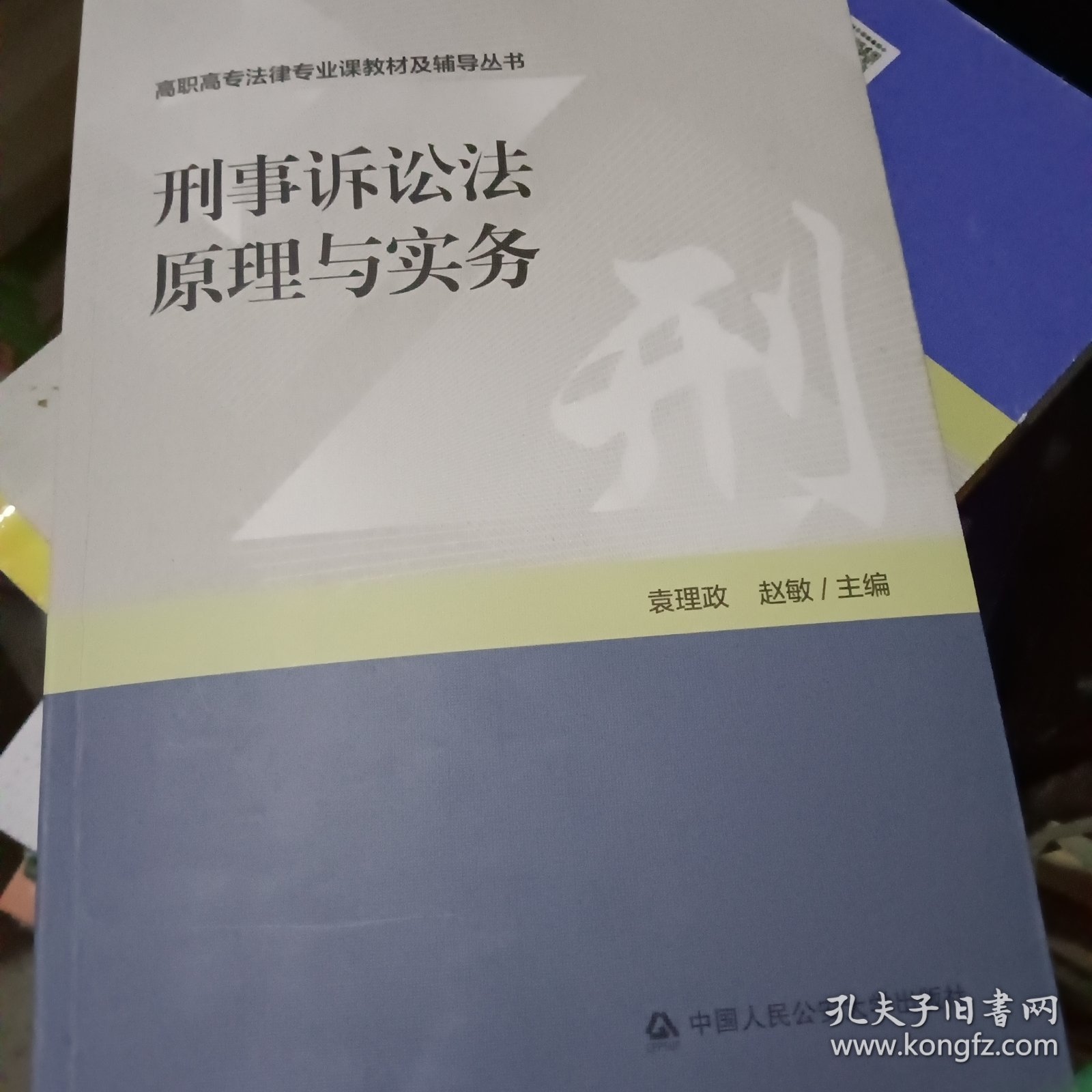 刑事诉讼法原理与实务
