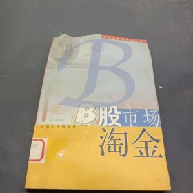 B股市场淘金