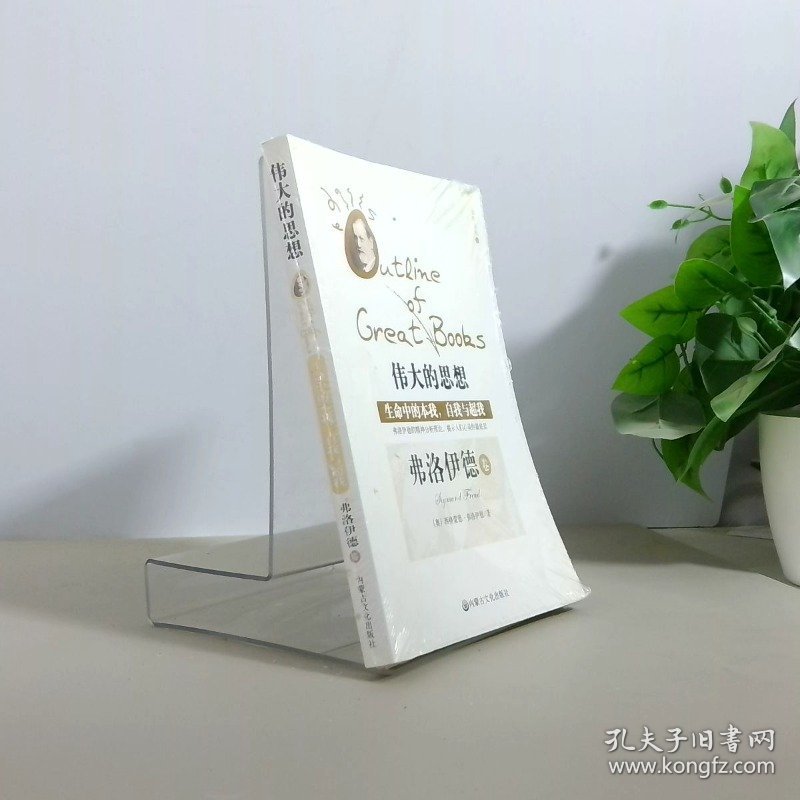 伟大的思想疯狂的智者就是天才  尼采 卷