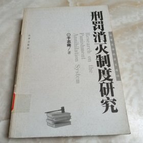 刑罚消灭制度研究——刑事法律科学文库（13）