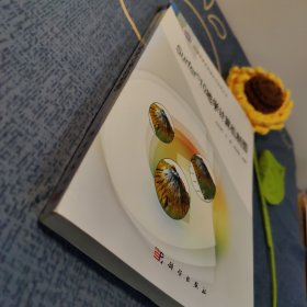 地理信息系统理论与应用丛书：Surfer 10地学计算机制图