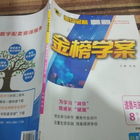 世纪金榜金榜学案道德与法治八年级下册