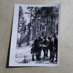 新华社记者齐观山摄黑白照片1959年八月，云南滇西原始森林勘察队员正在进行勘察《揭开祖国大地的秘密》【24】
