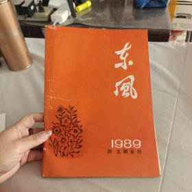 东风1989四五期合刊