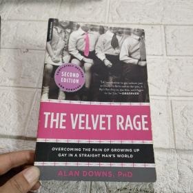 The Velvet Rage：Overcoming the Pain of Growing Up Gay in a Straight Man's World【平装 32开 详情看图】