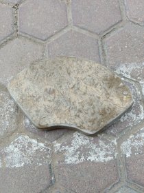 化石砚。盖子口沿有小磕 ，介意者勿拍。重0.88千克。